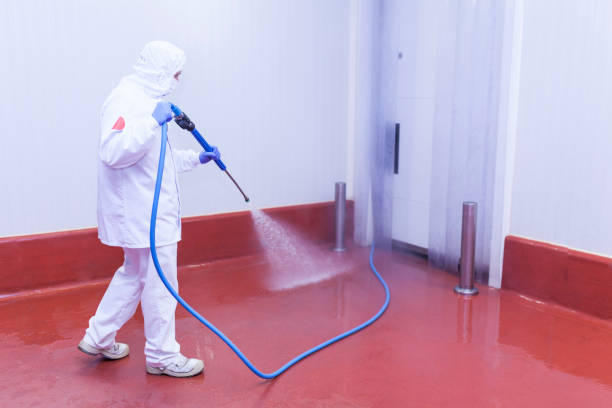 Best Paint Preparation  in Ramsey, NJ